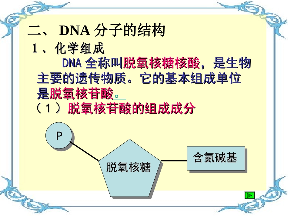 DNA的结构_第2页