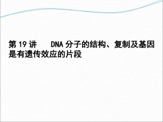 DNA的结构复制及基因与染色体的关系