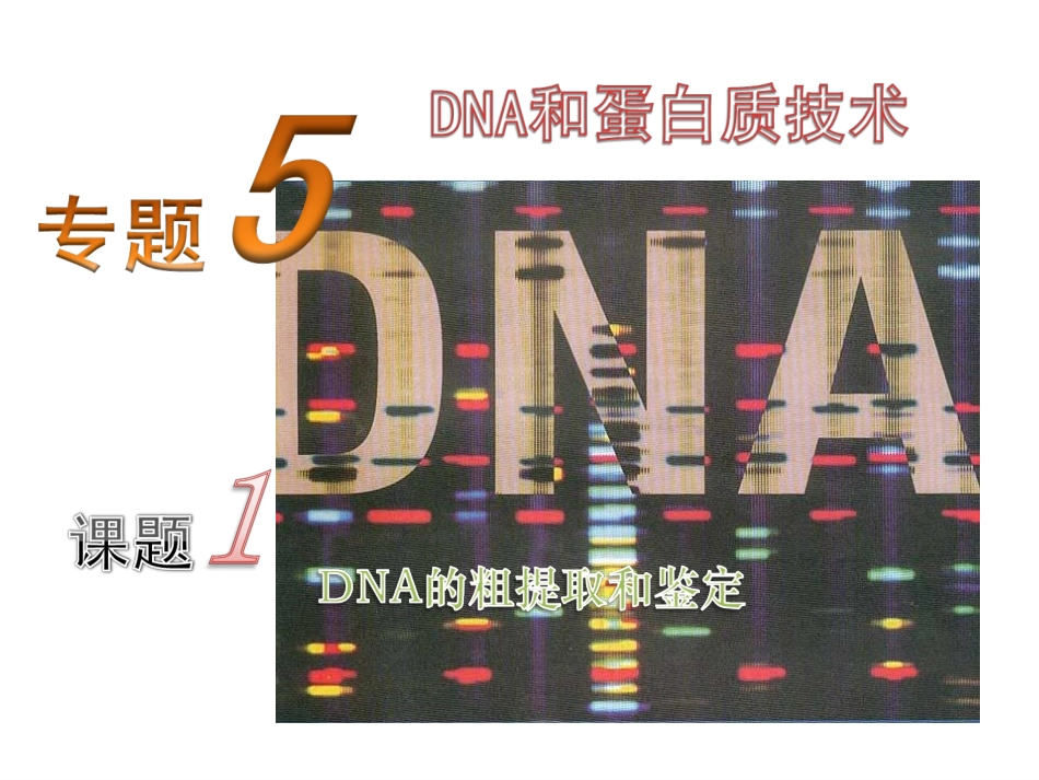 DNA的提取与鉴定讲解_第1页