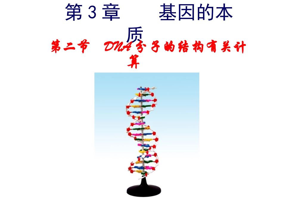 DNA分子的结构计算_第1页