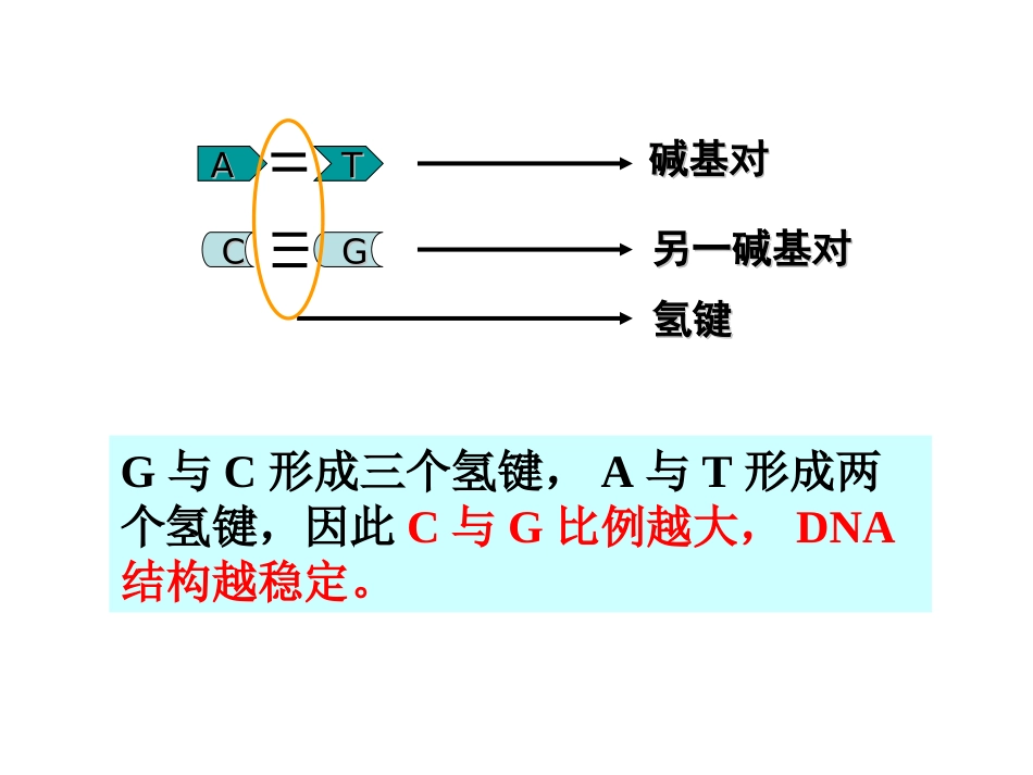 DNA分子的结构计算_第3页