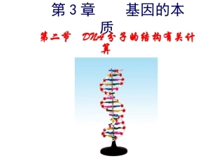DNA分子的结构计算