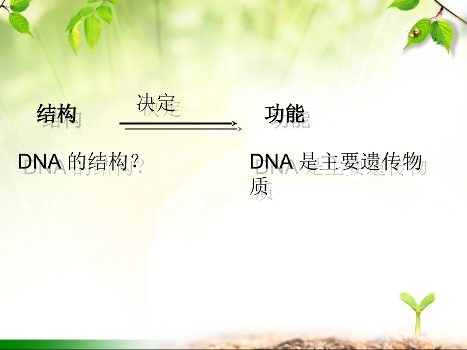 DNA分子的结构详解_第1页