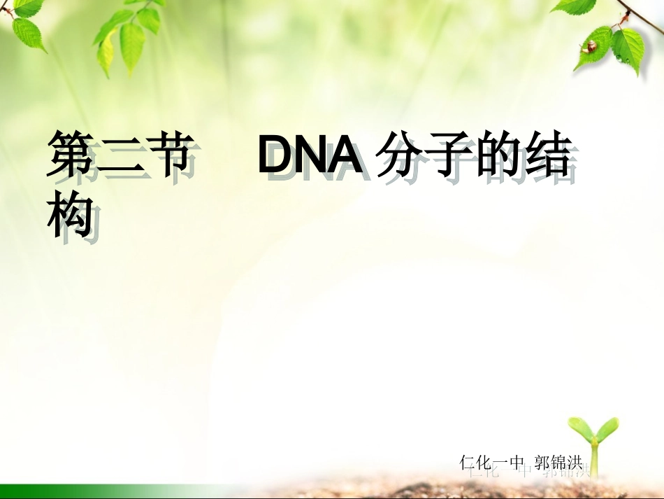 DNA分子的结构详解_第2页