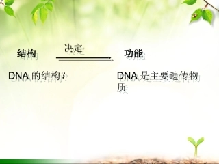 DNA分子的结构详解