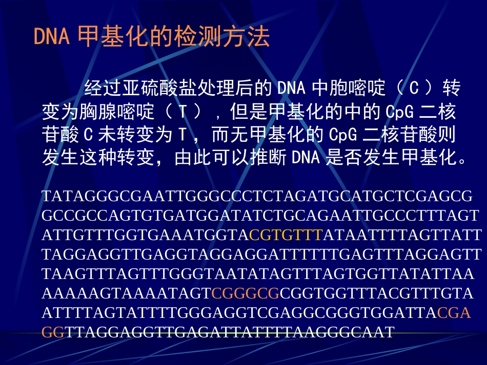 DNA甲基化和肿瘤关系_第3页
