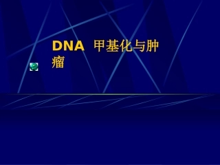DNA甲基化和肿瘤关系