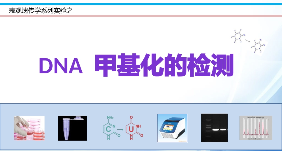 DNA甲基化实验_第1页