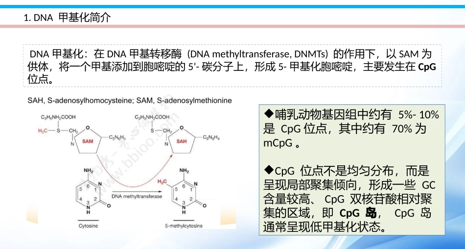 DNA甲基化实验_第3页