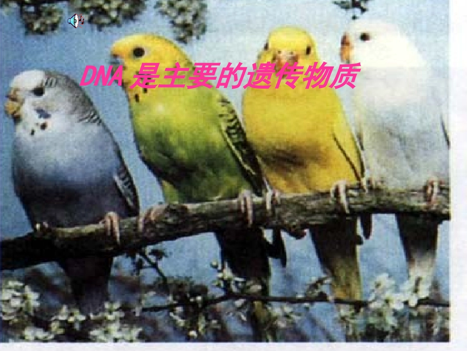 DNA是主要的遗传物质_第1页