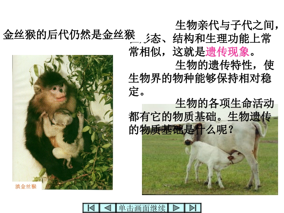 DNA是主要的遗传物质_第2页