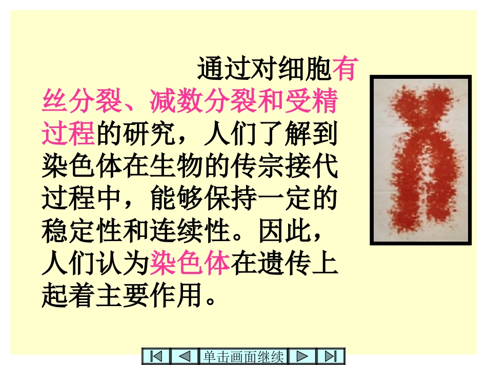 DNA是主要的遗传物质_第3页