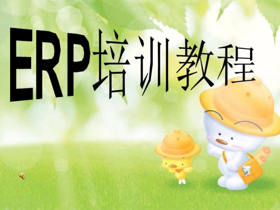 ERP培训教程_第1页