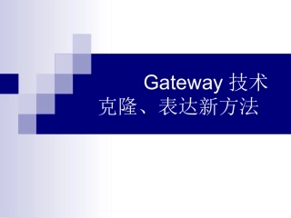 Gateway载体构建