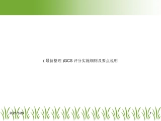 GCS评分实施细则及要点说明