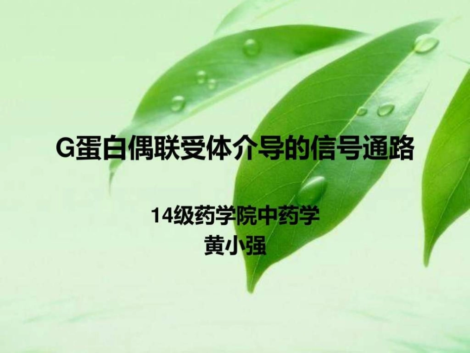 G蛋白偶联受体介导的信号通路_第1页