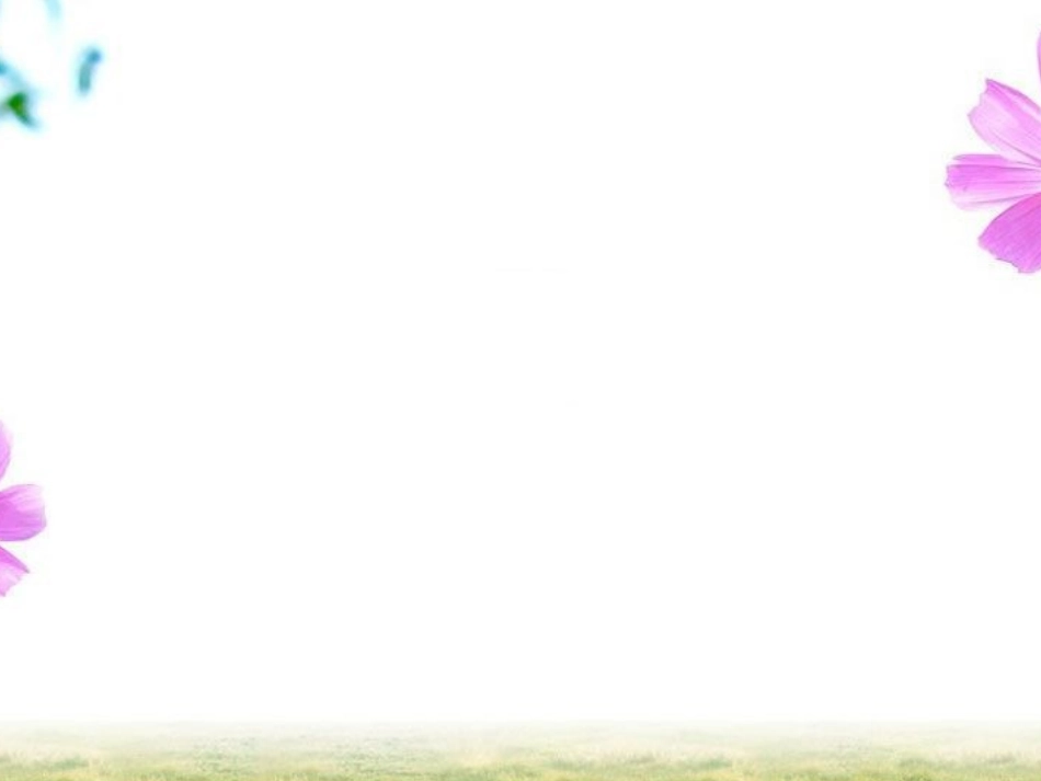 HPV感染与宫颈癌课件_第2页