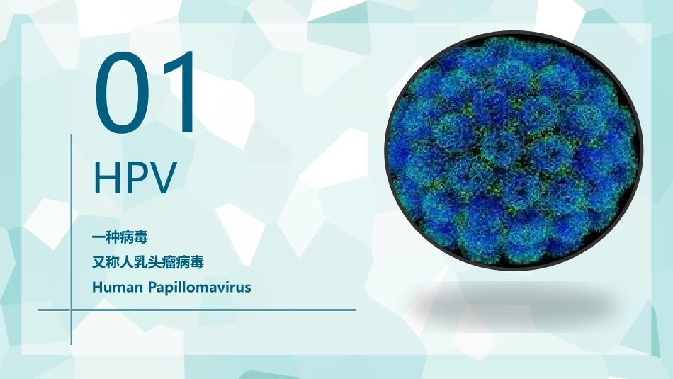 HPV疫苗培训模板_第3页