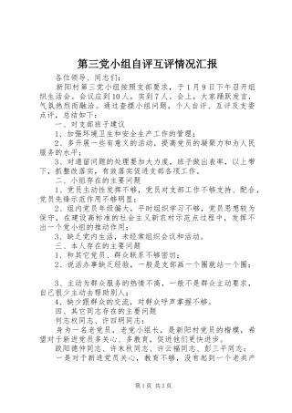 第三党小组自评互评情况汇报