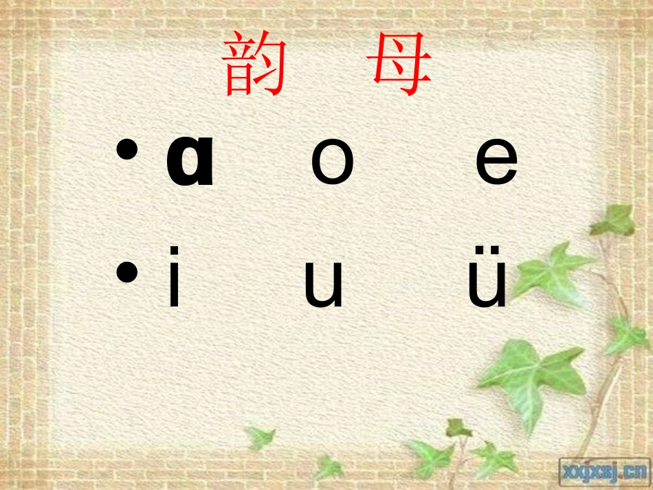ieveer课件_第3页