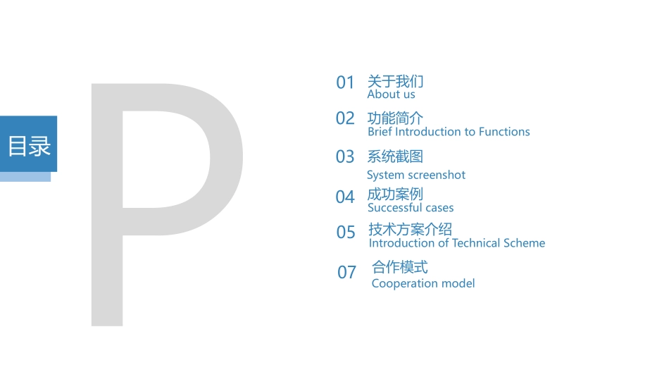 IParking智慧停车解决方案_第2页