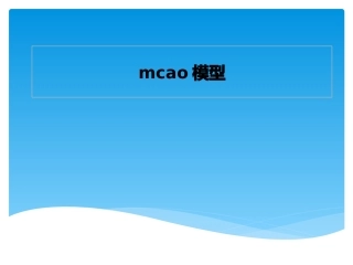 mcao模型