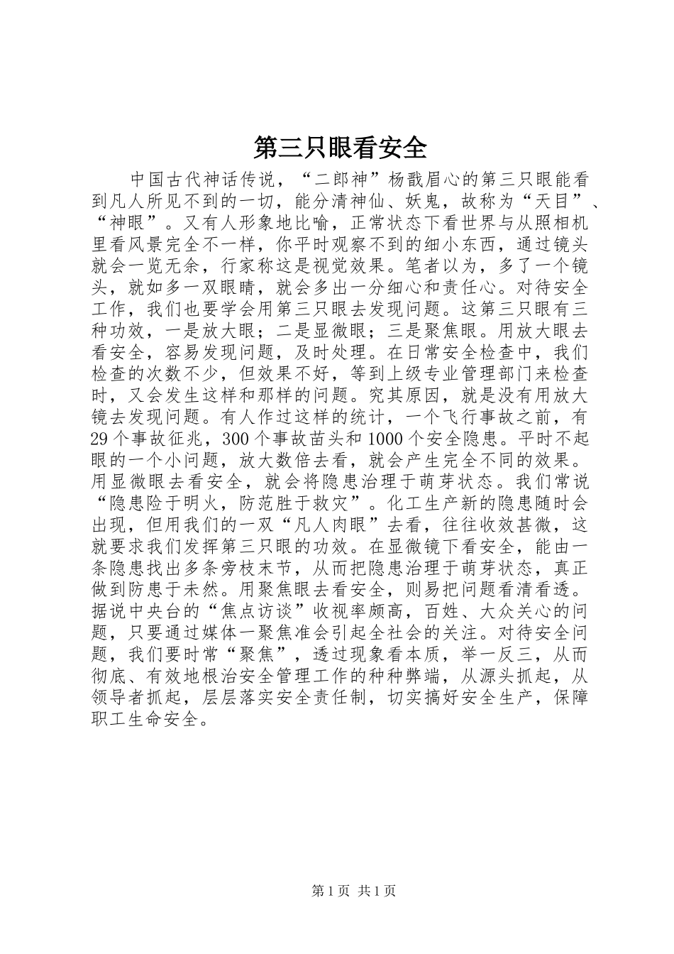 第三只眼看安全_第1页