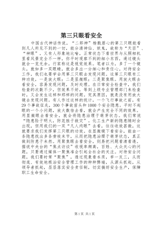 第三只眼看安全