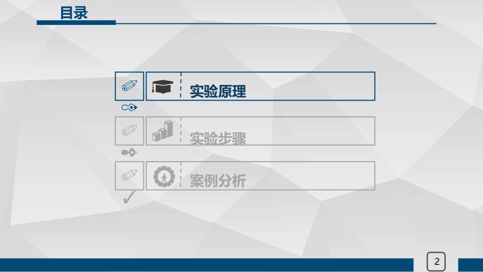 miRNA原位杂交_第3页