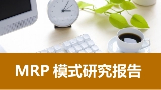 MRP模式研究报告