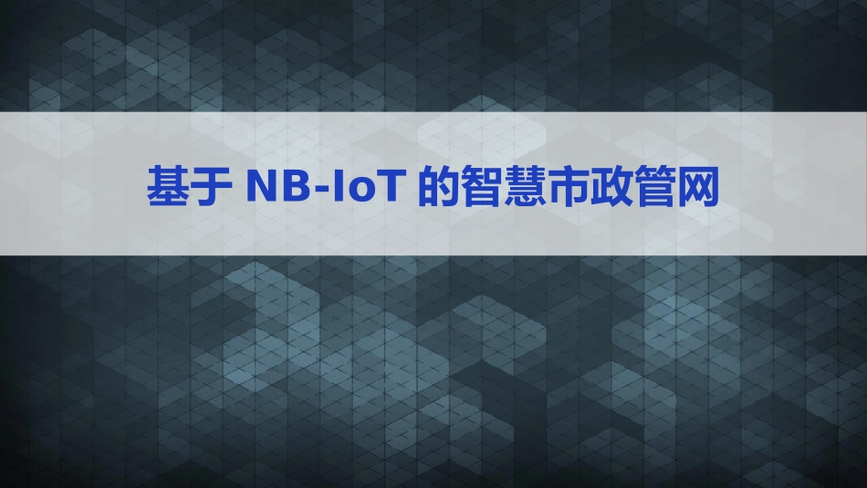 NBIoT智慧水务中性_第1页