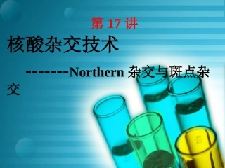 Northern杂交与斑点杂交课稿