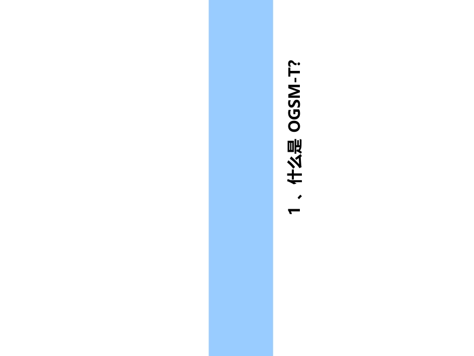 OGSMT运用指南_第2页