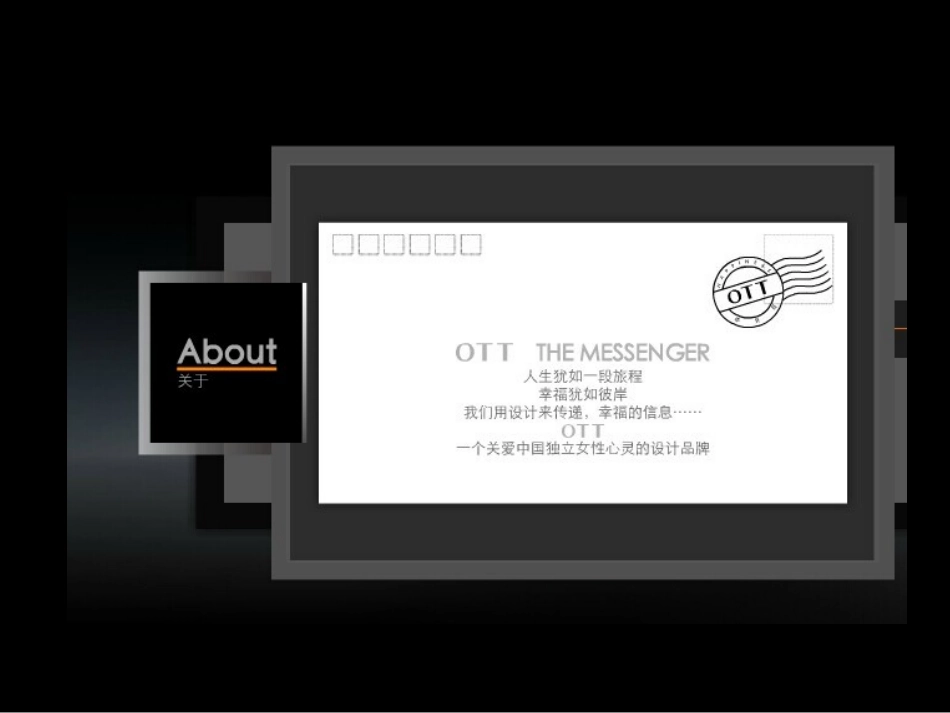 OTT品牌调研报告_第2页