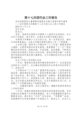 第十七次团代会工作报告