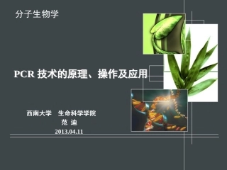 PCR技术的原理操作及应用解读