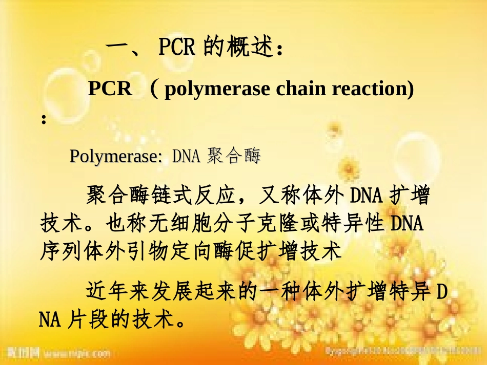 PCR技术环境微生物_第2页