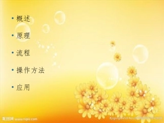 PCR技术环境微生物