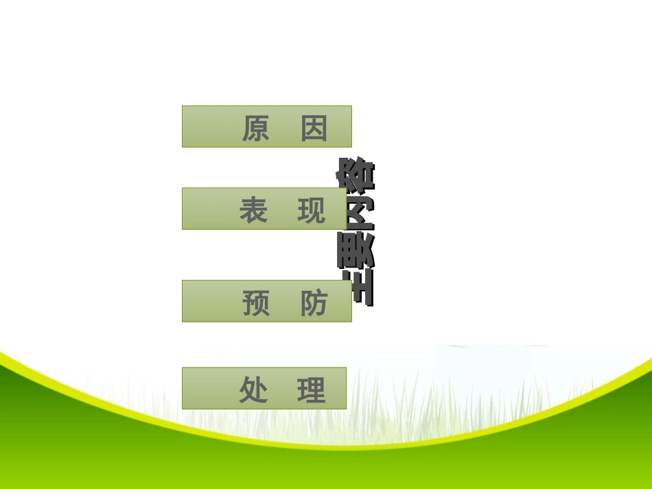 picc导管堵塞的预防及处理课件_第3页