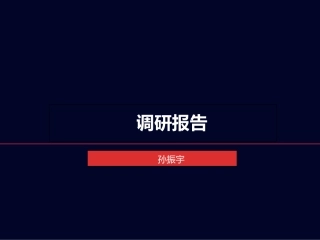 RIO鸡尾酒调研报告