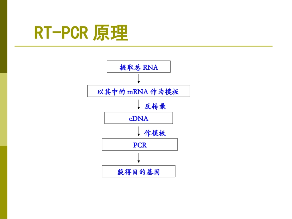 RNA病毒检测简述_第2页