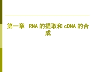 RNA病毒检测简述