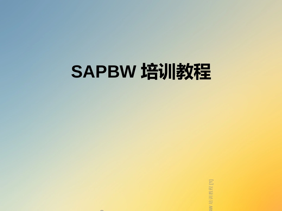 SAPBW培训教程_第1页