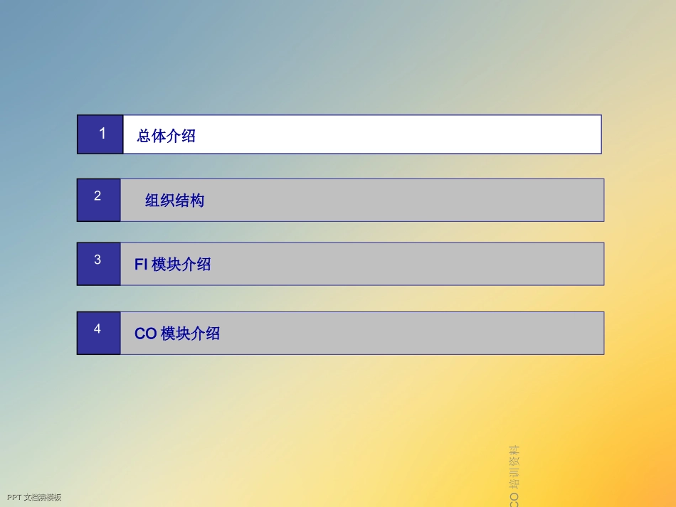 SAPFICO培训资料_第2页