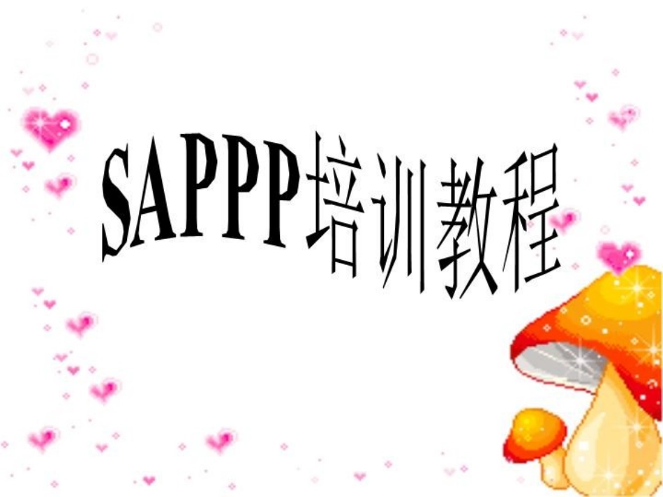 SAPPP培训教程_第1页