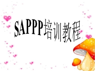 SAPPP培训教程