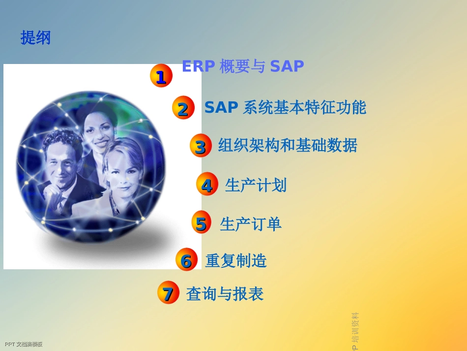 SAPPP培训资料_第2页