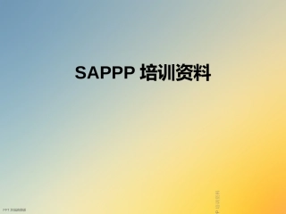 SAPPP培训资料