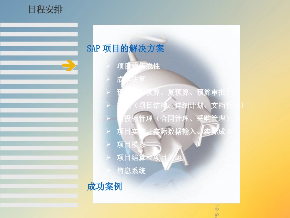 SAPPS培训资料_第2页