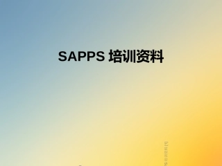 SAPPS培训资料